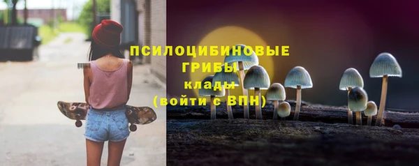 гашик Приозерск
